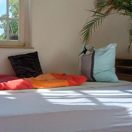 Forrest Apartments In Freiberg Min Stay 2 Nights Max Number Of Guest 1 Aprt 1 Экстерьер фото