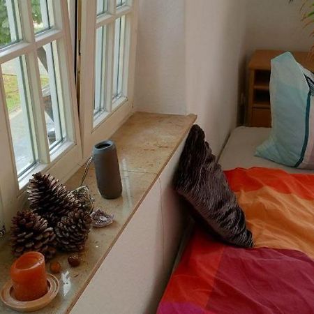 Forrest Apartments In Freiberg Min Stay 2 Nights Max Number Of Guest 1 Aprt 1 Экстерьер фото