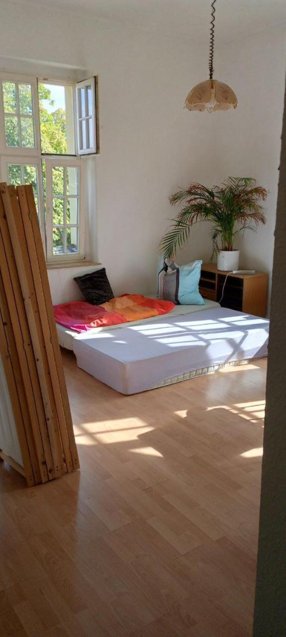 Forrest Apartments In Freiberg Min Stay 2 Nights Max Number Of Guest 1 Aprt 1 Экстерьер фото