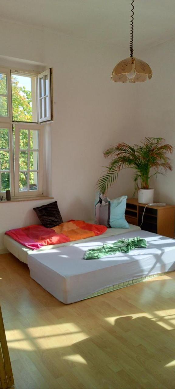 Forrest Apartments In Freiberg Min Stay 2 Nights Max Number Of Guest 1 Aprt 1 Экстерьер фото