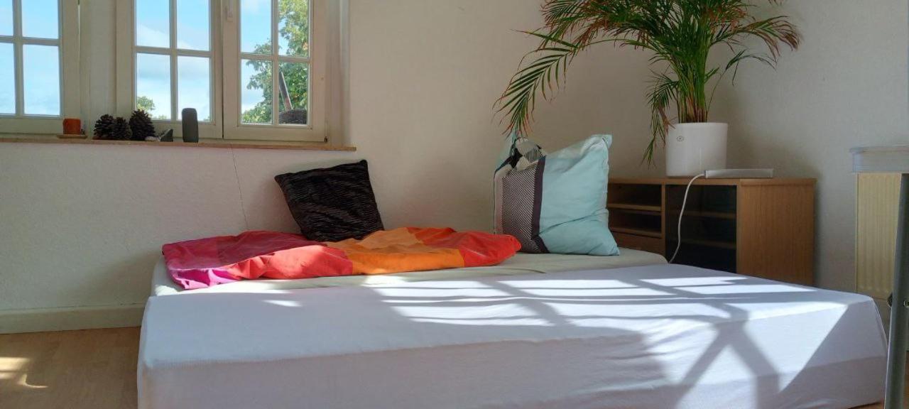 Forrest Apartments In Freiberg Min Stay 2 Nights Max Number Of Guest 1 Aprt 1 Экстерьер фото