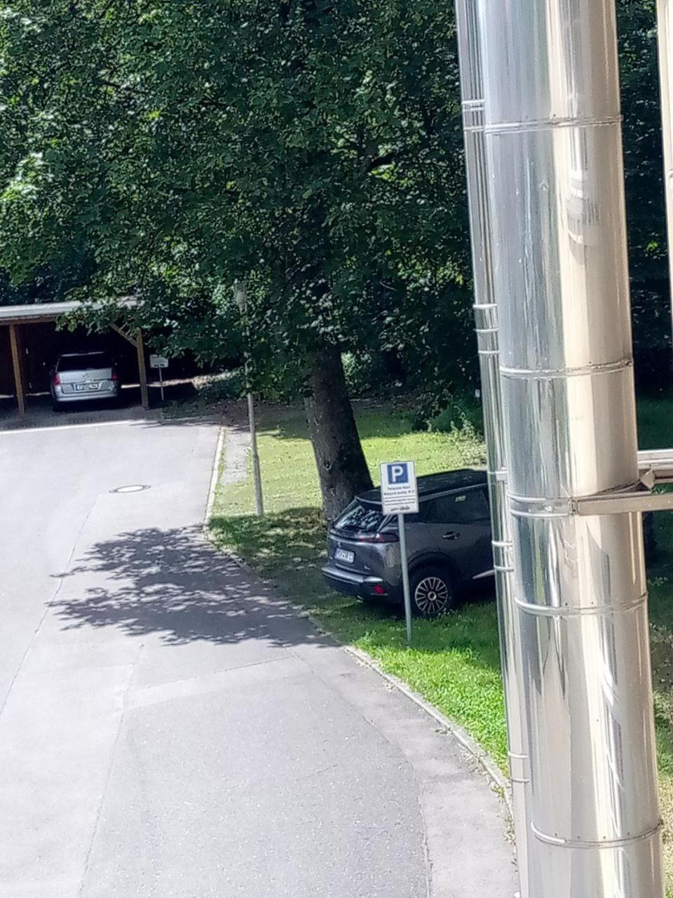 Forrest Apartments In Freiberg Min Stay 2 Nights Max Number Of Guest 1 Aprt 1 Экстерьер фото